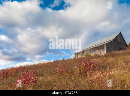 Kanada, Quebec, Gaspe Halbinsel, Forillon National Park, Grande-Grave, historische Siedlung Häuser Stockfoto