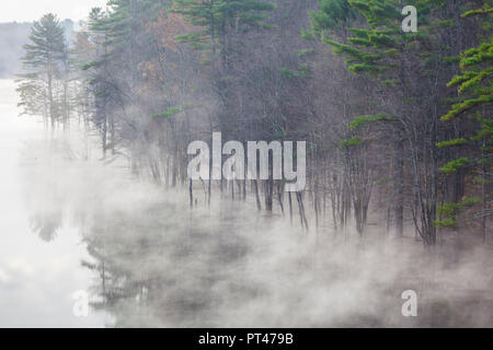 USA, New England, New Hampshire, Hopkinton, Herbst Nebel, Hopkinton See Stockfoto