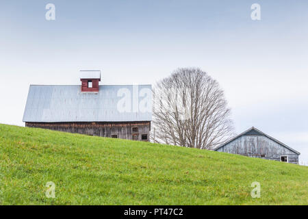 USA, Neuengland, Vermont, Rockingham, Scheune, Herbst Stockfoto