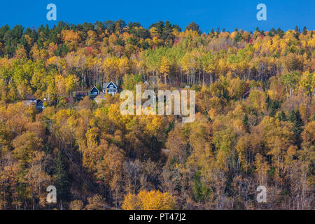 Kanada, Quebec, Capitale-Nationale Region Charlevoix, La Malbaie, Herbst Stockfoto