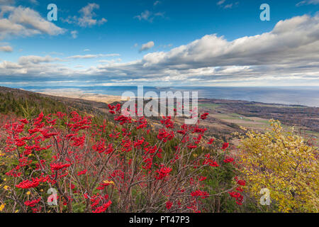 Kanada, Quebec, Gaspe Halbinsel, Carleton-sur-Mer, erhöhte Blick vom Mont St. Joseph, Herbst Stockfoto