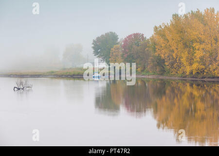 Kanada, Quebec, Mauricie Region, Sainte-Anne-de-la-Perade, Stadt, Hafen, Herbst Stockfoto