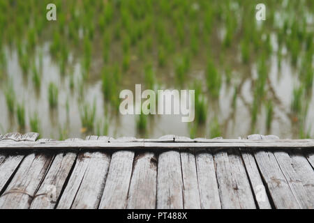 Holzboden mit Reisfeld Hintergrund Stockfoto