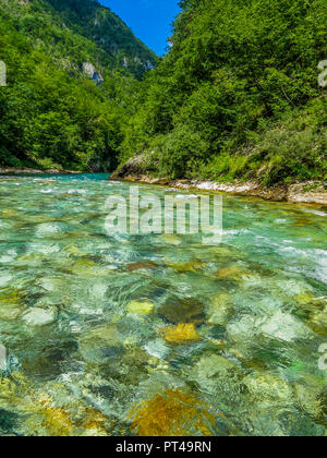 Tara Fluss, Montenegro Stockfoto