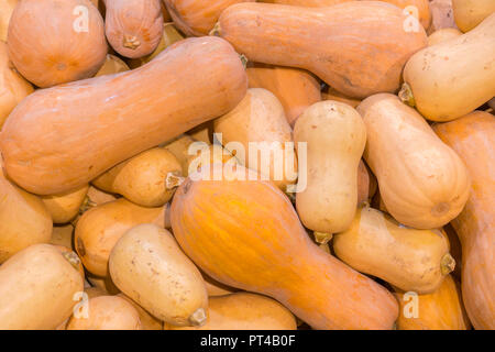 Eine Menge mini Kürbis im Freien Farmers Market. Organische Halloween Kürbis in einem Lebensmittelgeschäft. Stockfoto