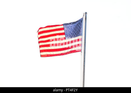 United Flaggenstaaten fliegen auf einem Mast gegen einen weißen Hintergrund Stockfoto