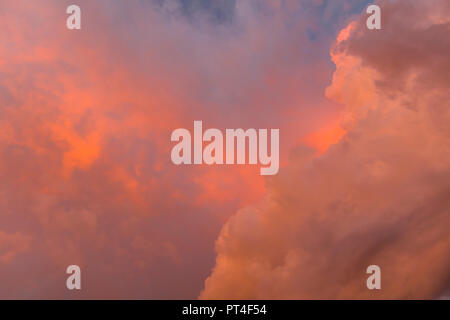 Rötlich sumnmer Sturmwolken über Südwesten Florida United States Stockfoto