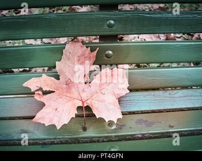 Screenshot des Lambro Park in Mailand im Herbst Stockfoto