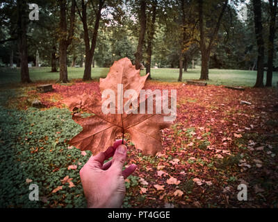 Screenshot des Lambro Park in Mailand im Herbst Stockfoto