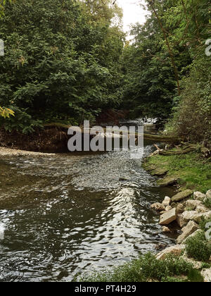 Screenshot des Lambro Park in Mailand im Herbst Stockfoto