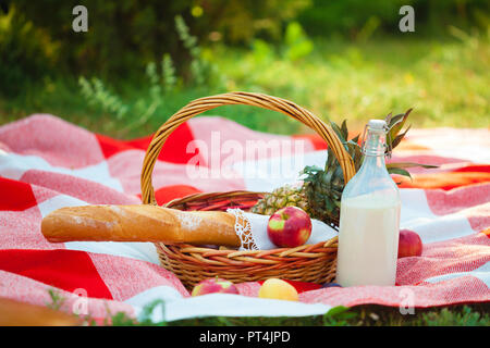 Picknickkorb, Obst, Milch, Äpfel, pineappe Sommer rest plaid Gras Nahaufnahme Stockfoto