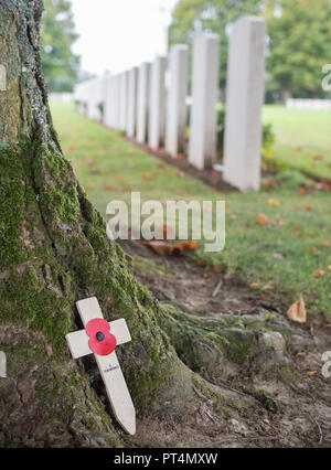 Bayeux britischen Soldatenfriedhof. Ein Kreuz mit Mohn lehnt sich gegen einen Baum, mit Gräbern im Hintergrund sichtbar. Stockfoto