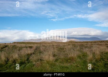 Insel Videy - Felder und Berge Stockfoto