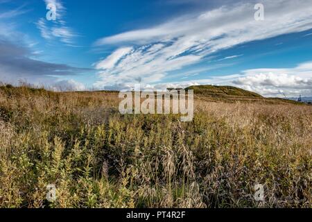 Insel Videy - Felder und Berge Stockfoto