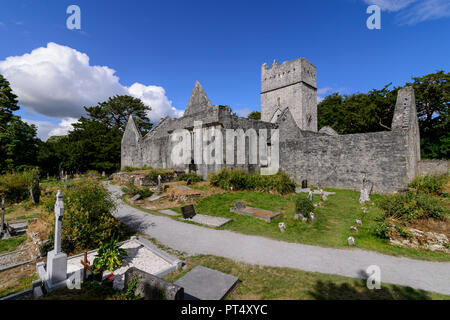 Muckross Abbey ist eine Alte irische Kloster und Irische Friedhof Stockfoto