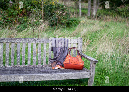 Tasche Schal und buchen Sie links auf einer Bank an einem sonnigen Nachmittag. Stockfoto