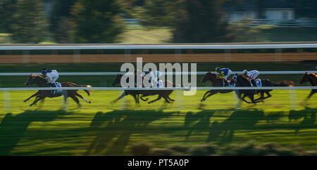 Lexington, KY, USA. 6. Okt, 2018. Oktober 06, 2018: Nächste Aktien mit Tyerl Gaffalione gewinnt die Shadwell Rasen Meile Staaten bei Keeneland Racecourse am Oktober 05, 2018 in Lexington, Kentucky. Evers/ESW/CSM/Alamy leben Nachrichten Stockfoto