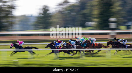 Lexington, KY, USA. 6. Okt, 2018. Oktober 06, 2018: Bucchero mit Fernando De La Cruz gewinnt den Woodford Stangen bei Keeneland Racecourse am Oktober 06, 2018 in Lexington, Kentucky. Evers/ESW/CSM/Alamy leben Nachrichten Stockfoto