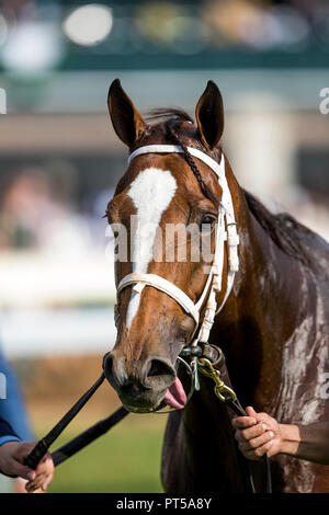 Lexington, KY, USA. 6. Okt, 2018. Oktober 06, 2018: Goldene Unfug mit Florent Geroux gewinnt den Thoroughbred Club von Amerika Stangen bei Keeneland Racecourse am Oktober 06, 2018 in Lexington, Kentucky. Evers/ESW/CSM/Alamy leben Nachrichten Stockfoto