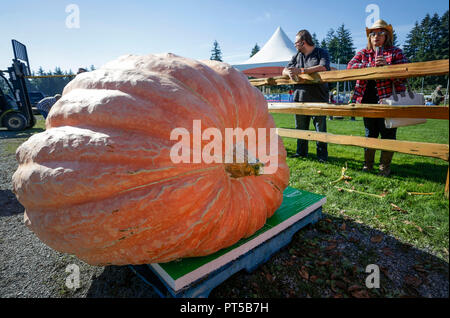 Langley, Kanada. 6. Okt, 2018. Leute schauen auf einen riesigen Kürbis während des Riesenkürbis Weigh-Off Ereignis in Langley, Kanada, Oktober 6, 2018. Credit: Liang Sen/Xinhua/Alamy leben Nachrichten Stockfoto