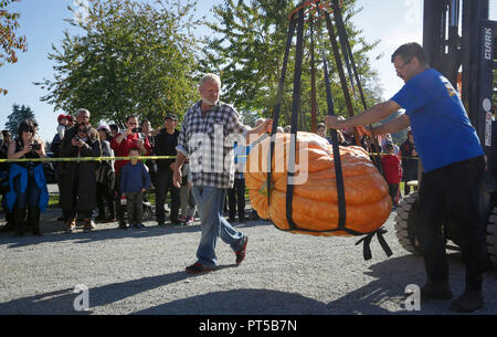 Langley, Kanada. 6. Okt, 2018. Arbeitnehmer bewegen einen Kürbis in die Waage zum Wiegen während des Riesenkürbis Weigh-Off Ereignis in Langley, Kanada, Oktober 6, 2018. Credit: Liang Sen/Xinhua/Alamy leben Nachrichten Stockfoto