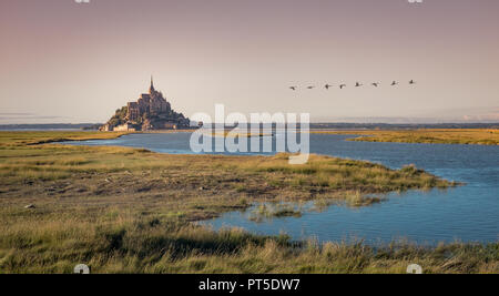 Mont Saint-Michel und Umgebung im frühen Sonnenlicht Stockfoto