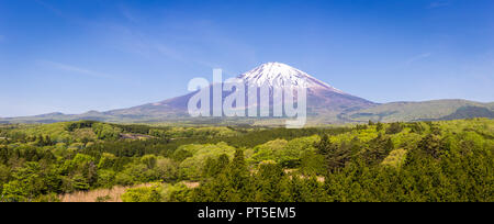 Frische, grüne Wälder und schöne Aussicht Mt. Fuji mit Schnee, blauer Himmel im Sommer bei Yamanashi, Japan. Panorama Landschaft und Sehenswürdigkeiten oder Symbol für Japan Stockfoto