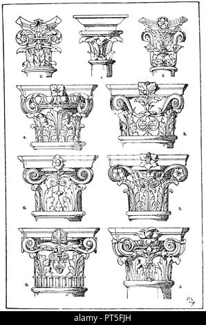 1 Renaissance säulenportikus capitell von Hand zeichnen ein Holbein. (Guichard). 2. 3. Renaissance Säule Hauptstädten nach Entwürfen von Heinrich Vogtherr. (Hirth). 4. Composite capitell. Italienische Renaissance. 5. Säule Capitol vom Palazzo Scrofa in Ferrara. Ital. Renaissance. 6. Spalten der Hauptstädte. Italienische Renaissance. Aus einem Grab in Sta. Maria del Popolo in Rom. Sansovino. 7. Spalten der Hauptstädte. Italien. Renaissance. Im Palazzo Zorzi in Venedig. 8. Säule capitol der städtischen Badewanne in Karlsruhe. Architekt Durm. 19. 9. Französische Spalte capitell. Varieté Theater in Paris. Architekt Stockfoto