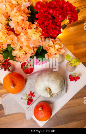 Stillleben mit orangen und weißen Kürbisse, hydrangea Rot und Pfirsich Farbe Stockfoto