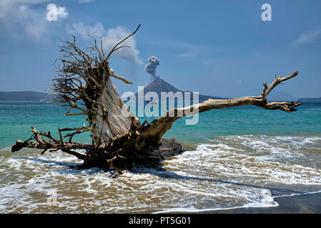 Krakatau, einer kleinen Insel in der Sunda Straße zwischen den Inseln Sumatra und Java ist einer der bekanntesten Vulkane der Welt. Es ist eine meist Stockfoto