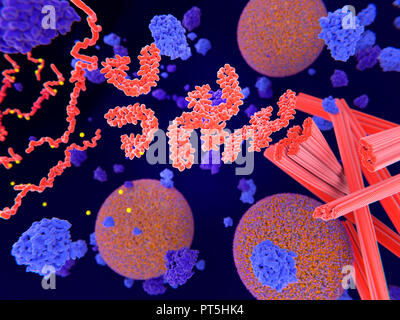 Tau Protein, das bei der Alzheimer-Krankheit, Illustration. pathologische Phosphorylierung (Gelb) von Tau Proteine (rot-orange) von Kinasen (blau-lila) wirken sich Nervenzellen im so genannten Neurofibrilläre verwirren. Diese Abbildung zeigt den Transport von synaptischen Vesikeln (orange-blaue Kugeln) unterbrochen wird. tau Proteine beeinflussen auch microtubles (rot Zylinder). Ein Neurofibrilläre Gewirr besteht aus anomale Aggregate und unlöslichen Fasern des Proteins Tau. tau Protein ist ein reichlich neuronalen Protein, Aggregationen, von denen gedacht sind, eine Rolle bei der Alzheimer-Krankheit und anderen neuronalen Erkrankungen zu spielen. Stockfoto