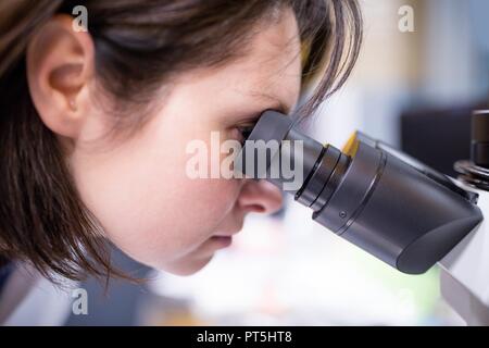 Weibliche Labortechniker mit Mikroskop im Labor. Stockfoto