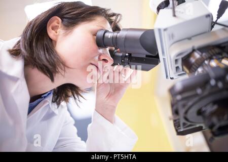 Weibliche Labortechniker mit Mikroskop im Labor. Stockfoto