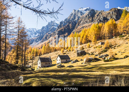 Devero Alp nahe dem Dorf Crampiolo Piemont - Italien Stockfoto