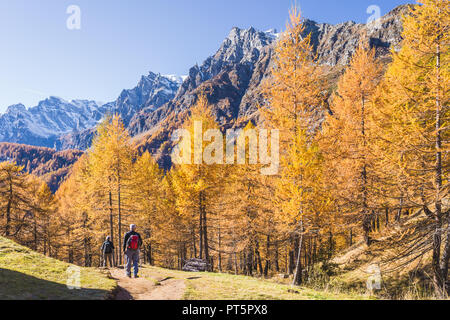 Devero Alp nahe dem Dorf Crampiolo Piemont - Italien Stockfoto