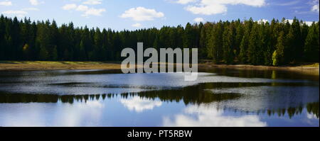 Malerische Reflexionen von Bäumen in einem See. Bergbau Teich in der Nähe von Clausthal-Zellerfeld in Niedersachsen, Harz, Deutschland. Stockfoto