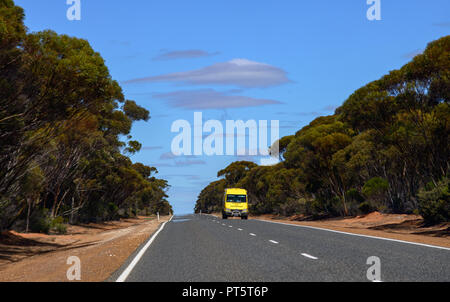 Autobahn durch einen Eukalyptuswald führende, Western Australia, Australien Stockfoto