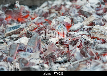 Brennende glühende Kohlen im Grill BBQ in Makro anzeigen Stockfoto