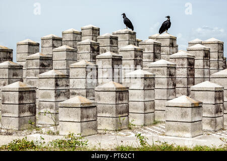 Miami Florida, Everglades National Park, Valujet Flight 592 Memorial, Flugzeugabsturz, Liste der Opfer, Geier, FL180731018 Stockfoto