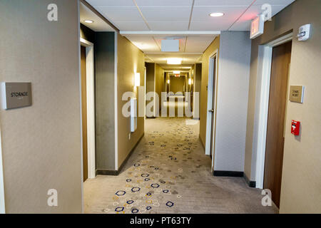 St. Saint Petersburg, Florida, Madeira Beach, Courtyard Marriott, Hotel, Flur im Flur, FL180731153 Stockfoto