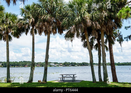 Florida, Lake Placid, Lake June-in-Winter, H. L. Bishop Park, Picknicktisch, sabal Palmen, FL180731241 Stockfoto