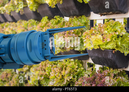 Landwirtschaft Technologiekonzept mit 3D-rendering Roboterarm Ernte Kopfsalat Stockfoto