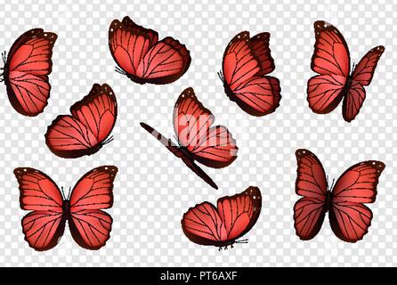 Rot isoliert Schmetterlinge. Insekten mit hellen Färbung. Schmetterling Vektor. Stock Vektor