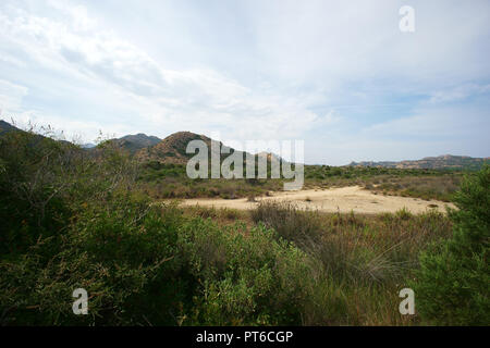 Bidderosa Strand und Naturpark, Orosei, Sardinien, Italien. Stockfoto