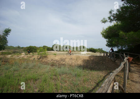 Biker auf bidderosa Naturpark, Orosei, Sardinien, Italien. Stockfoto