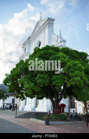 Schönen Baum neben Santa Fé de Antioquia die Kathedrale (Catedral Basílica de la Inmaculada). Santa Fe de Antioquia, Kolumbien. Sep 2018 Stockfoto