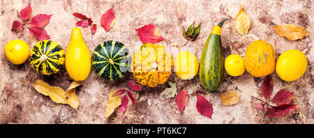 Schönen Herbst saisonal Hintergrund mit Kürbissen. Herbst Natur Konzept Stockfoto