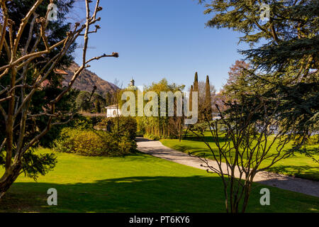 Europa, Italien, Bellagio, Comer See, einen Baum in eine Rasenfläche Stockfoto