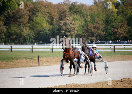 Trabrennen im Hippodrome Jockeys und Pferde Stockfoto