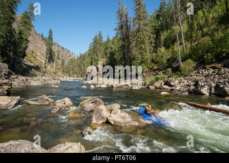 Eine aufblasbare Kajak paddeln auf der Idaho Selway River. Stockfoto